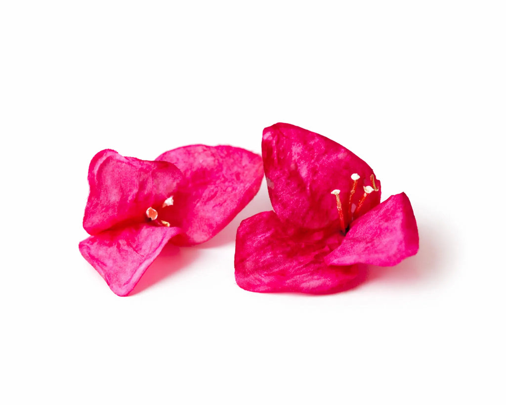 Pendientes Buganvilla
